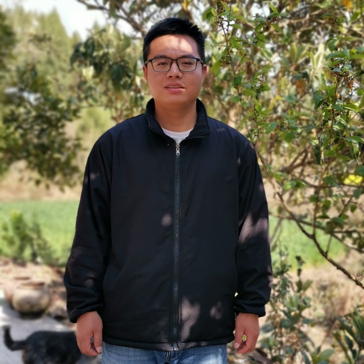 一杯淡淡的清茶