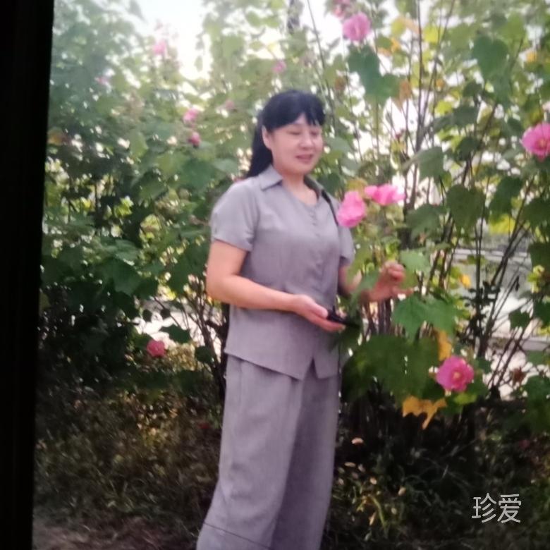 彩旋