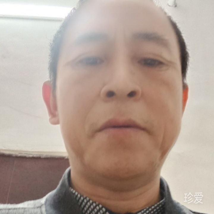 假装的安静