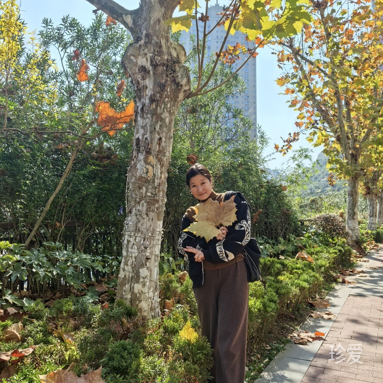 也许是你