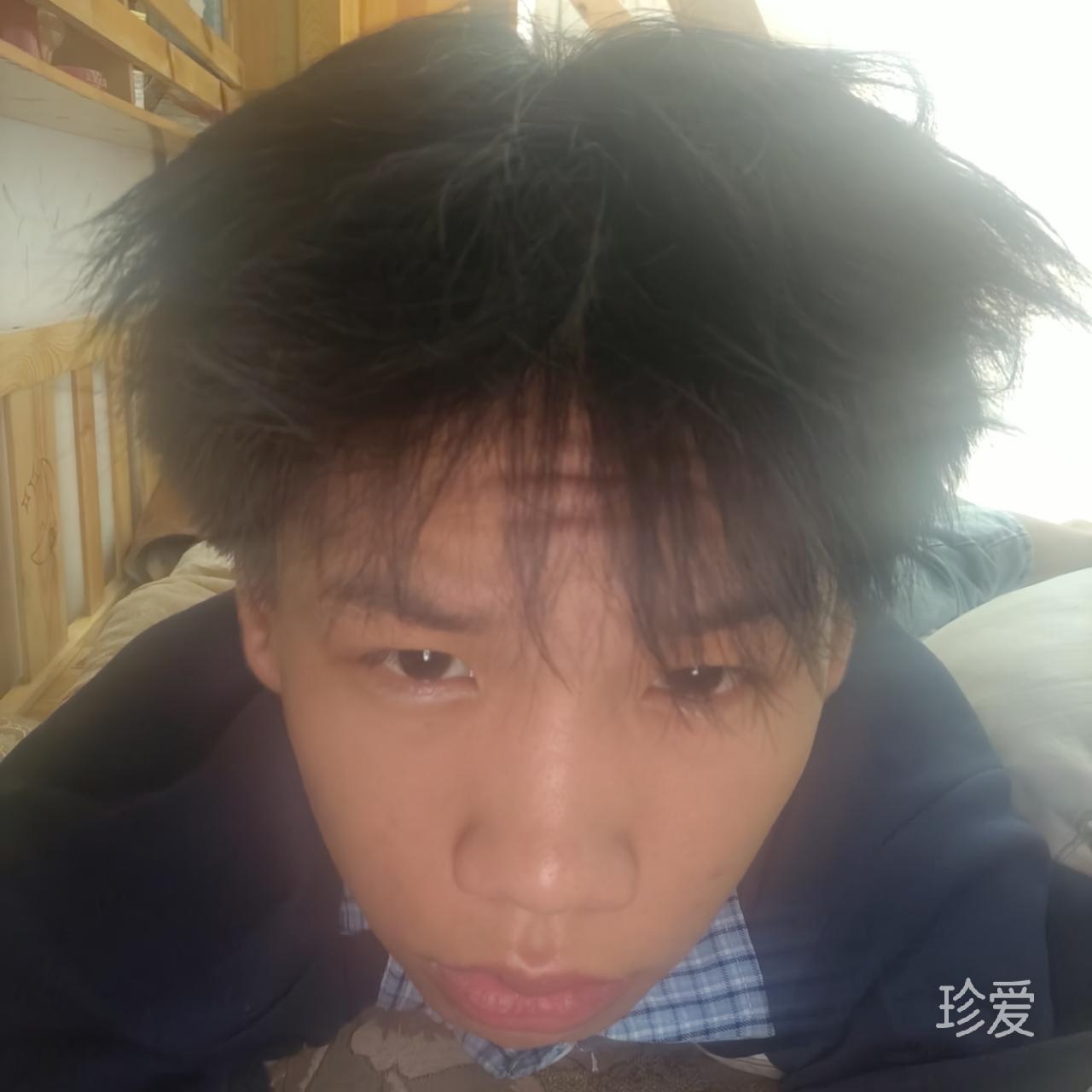 鸿鹄