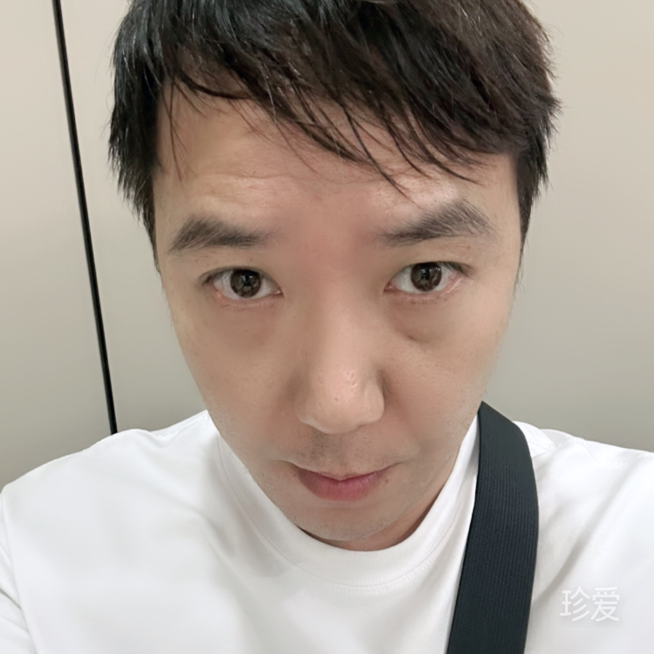 孤独的鱼