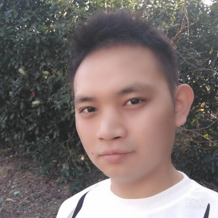 飞翮