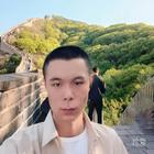 一片孤葉