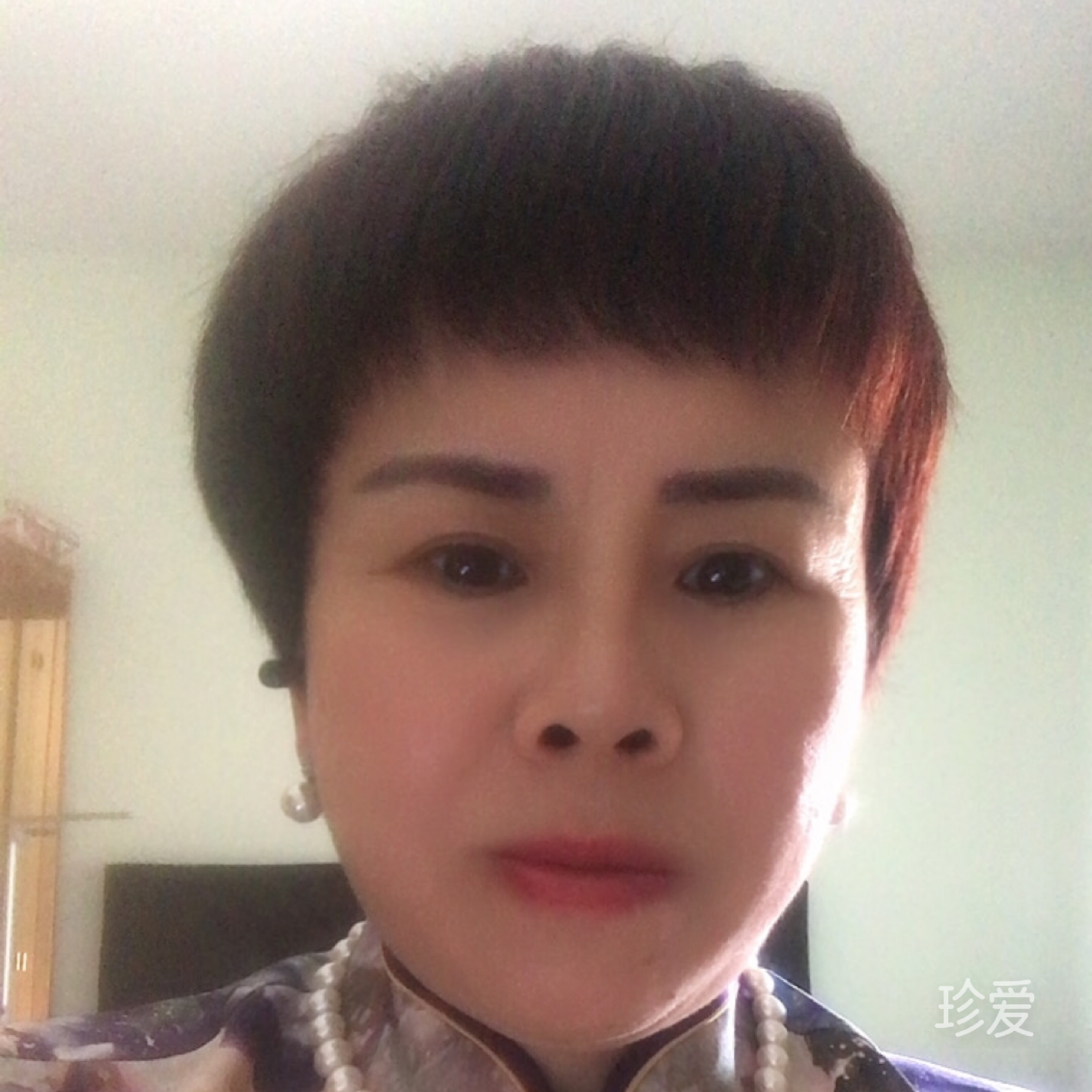 頑強小草馬德里