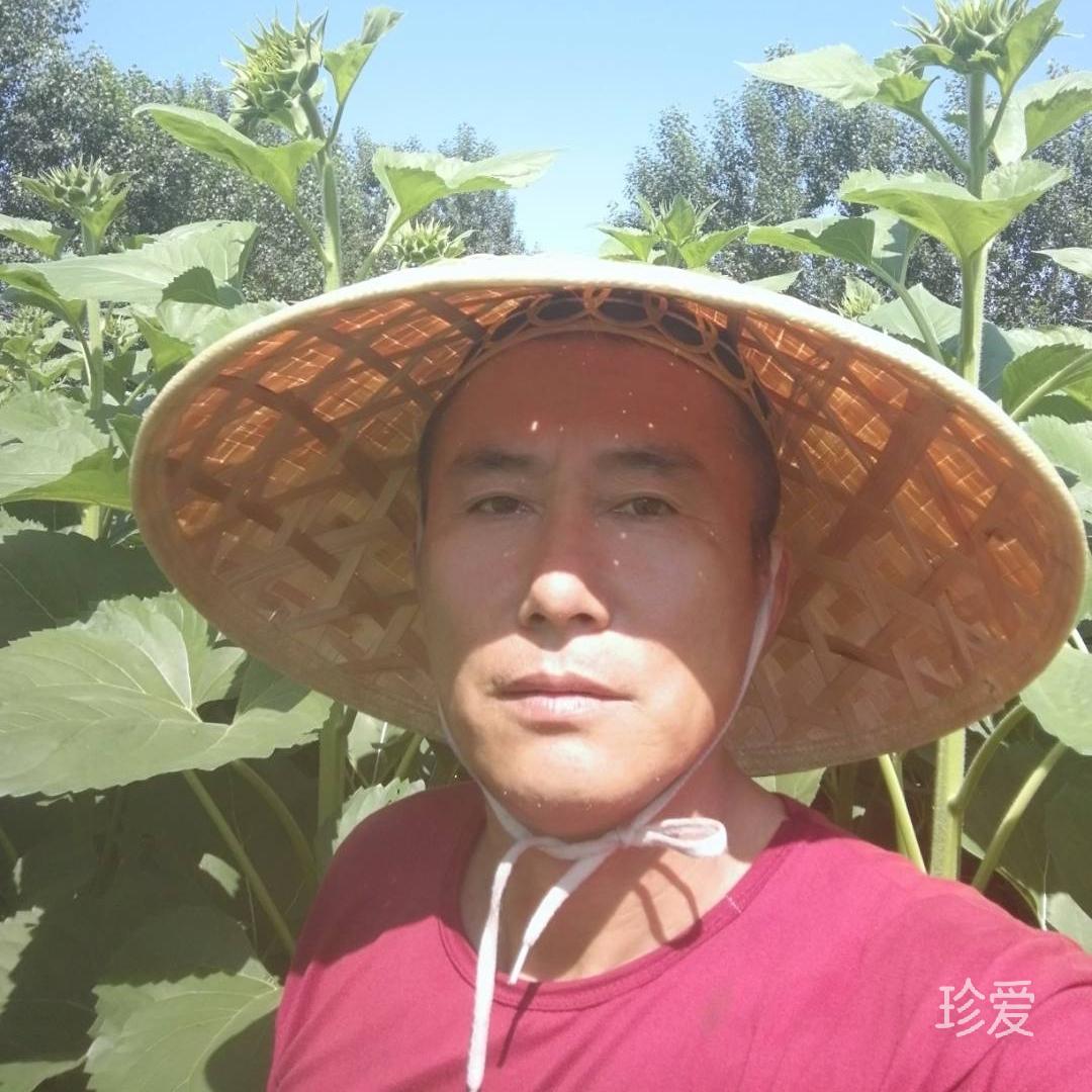 醉心梦醒时分
