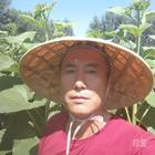 醉心夢(mèng)醒時(shí)分