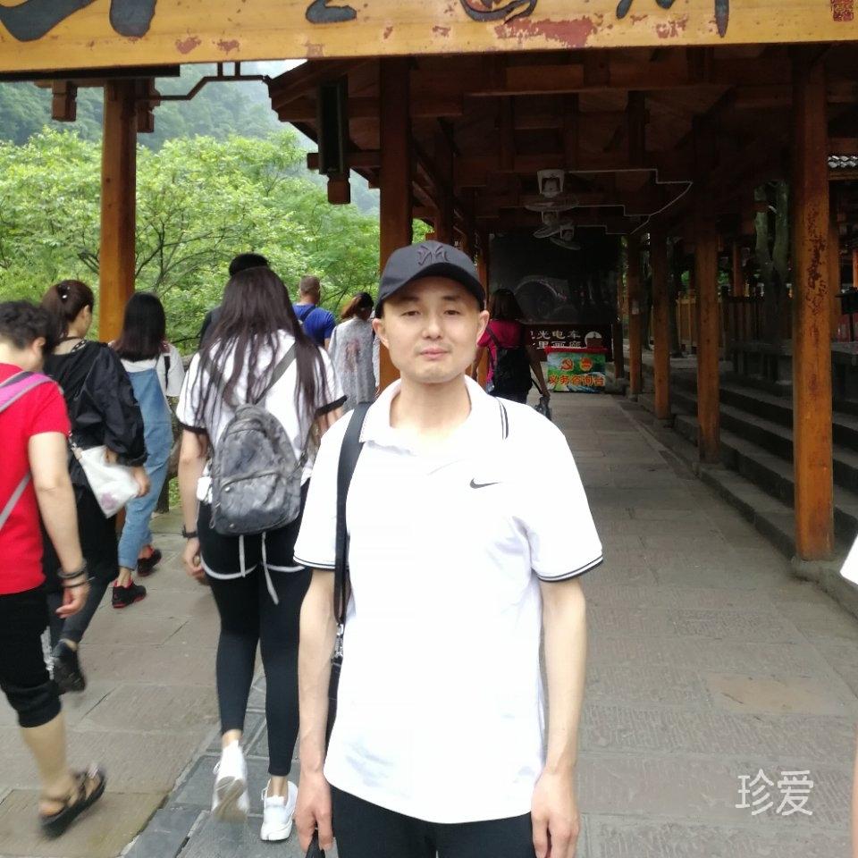 动静随心