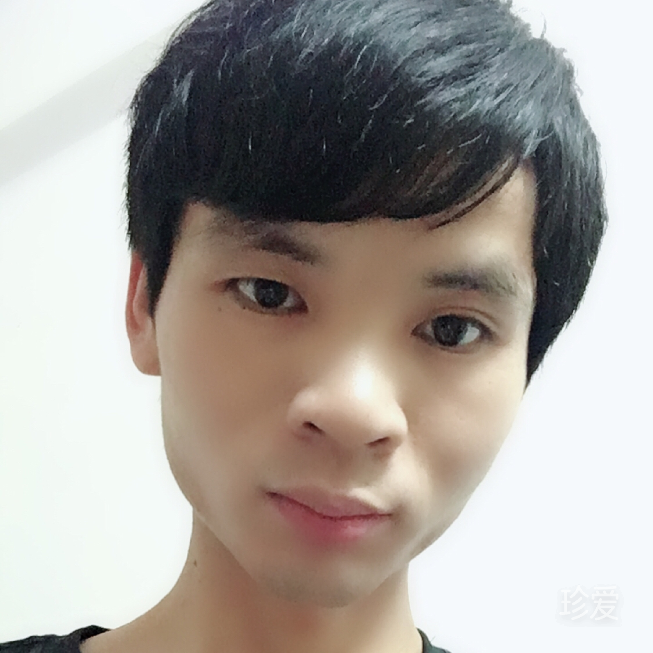 梦苏