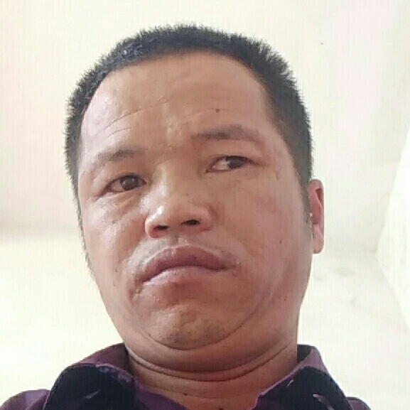 不停奔跑的兔子