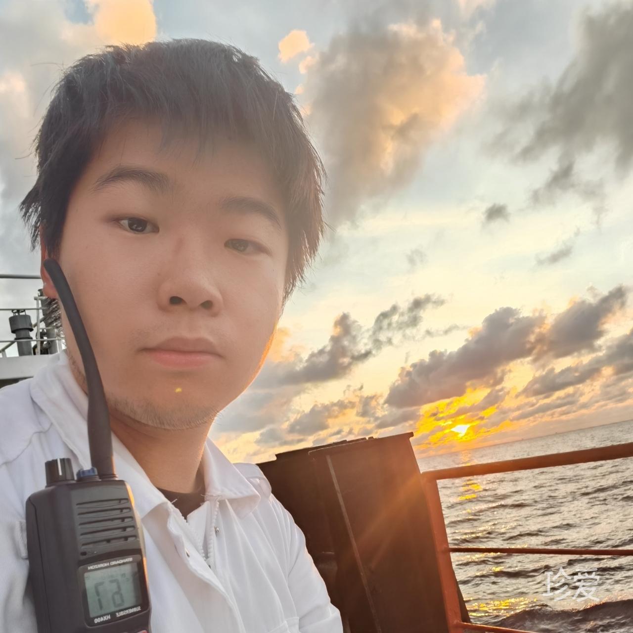 会游泳的猫