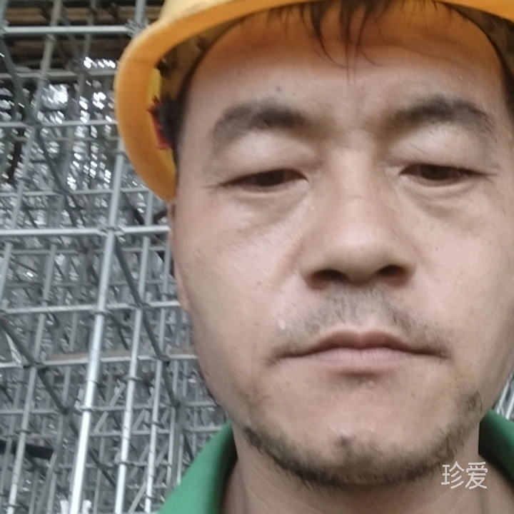 张盼盼