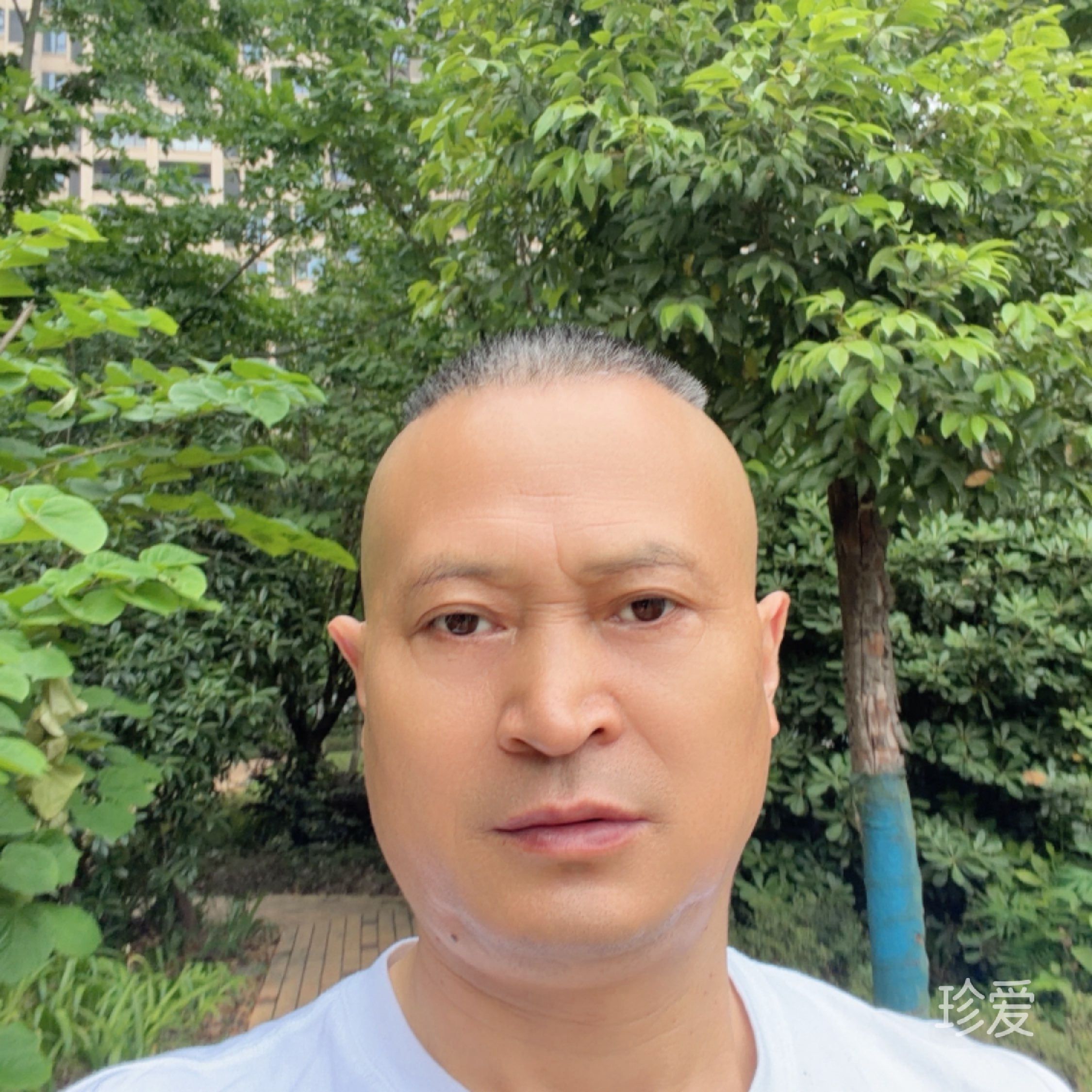 等不到你