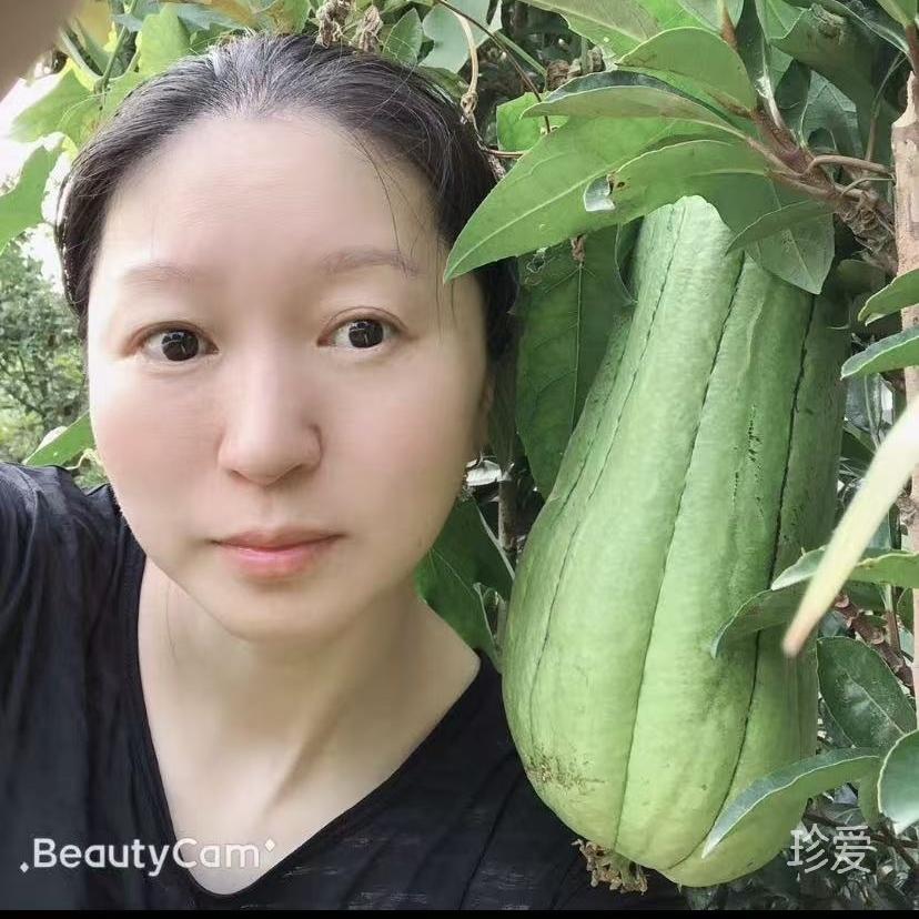 放牛娃