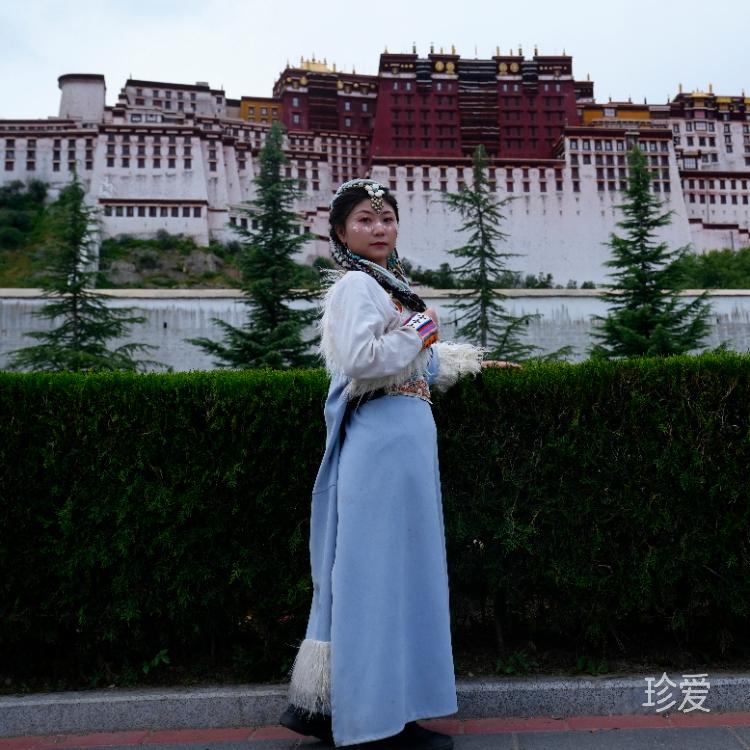 不會跳舞的蘋果