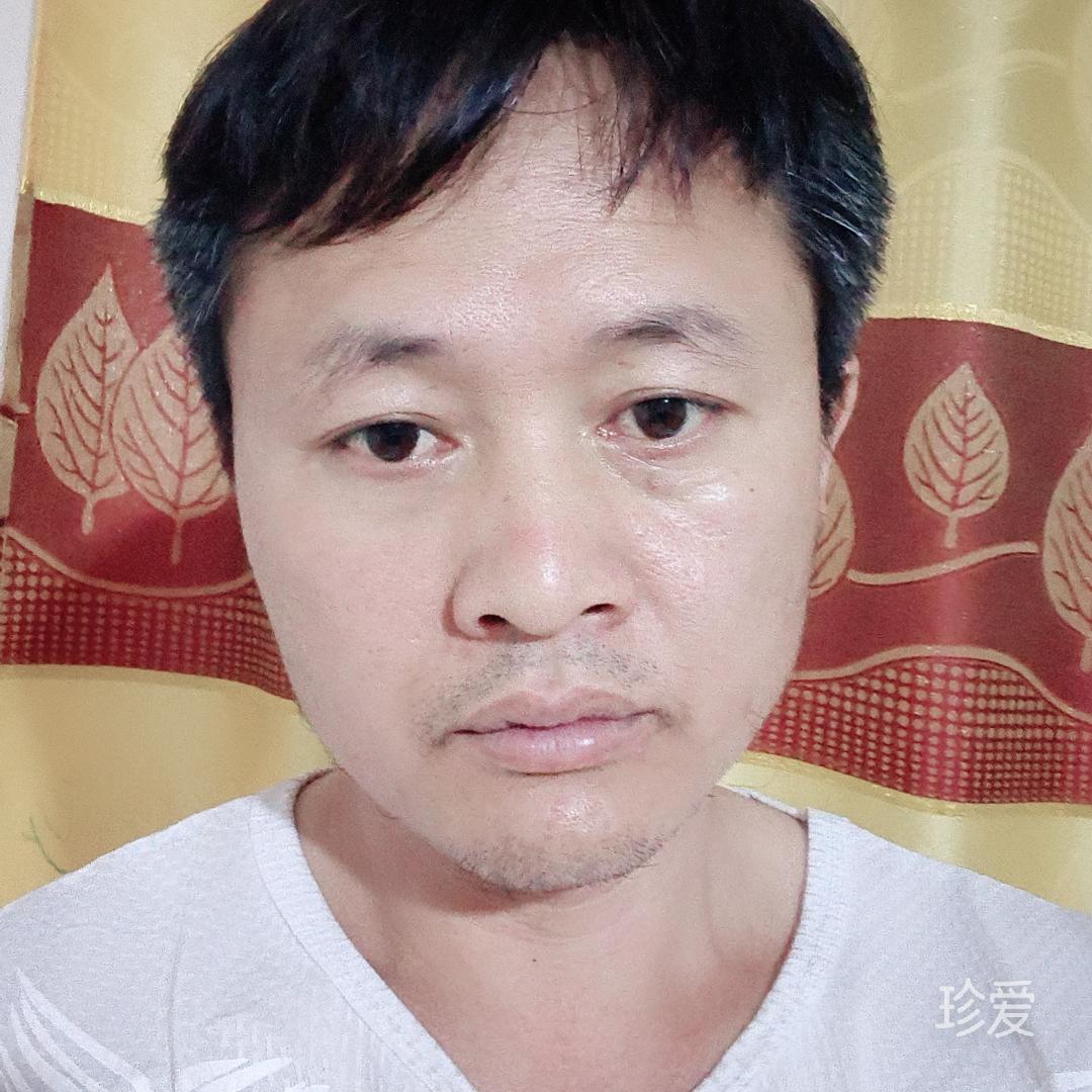 绿杨柳