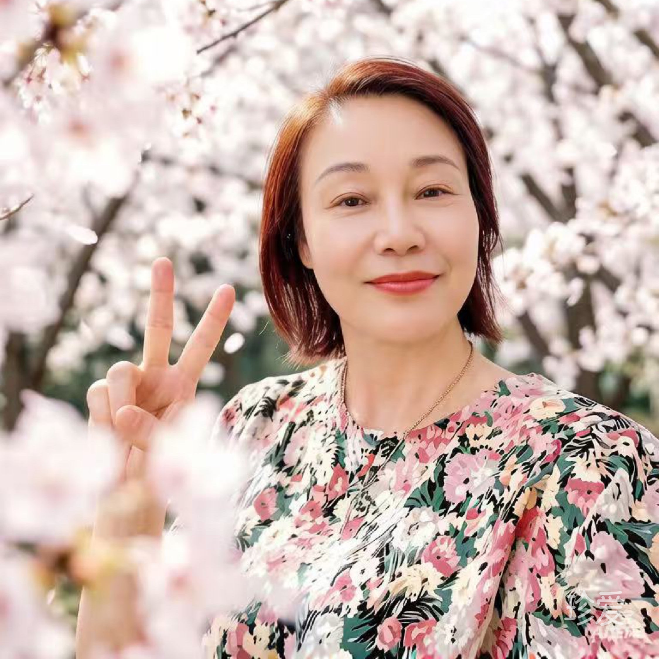 春暖花开