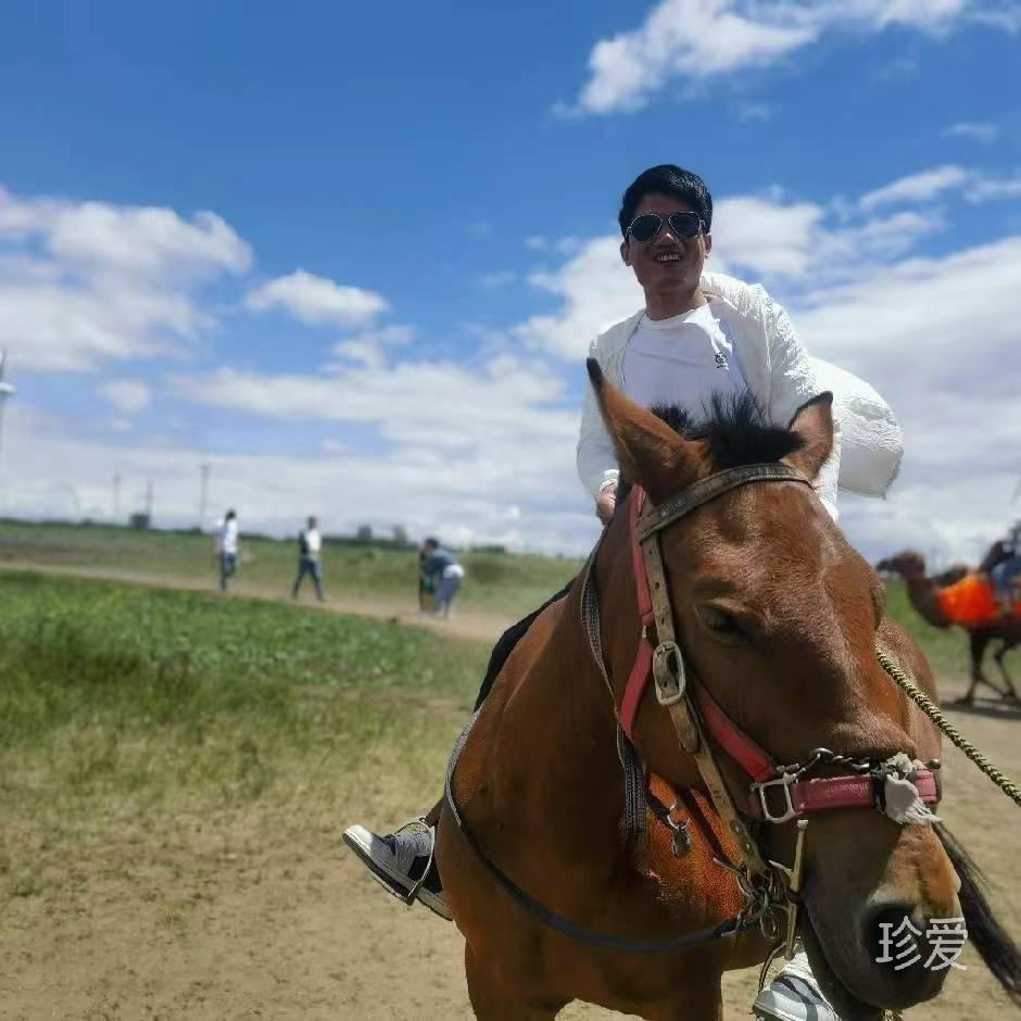 昨夜小樓聽(tīng)風(fēng)雨