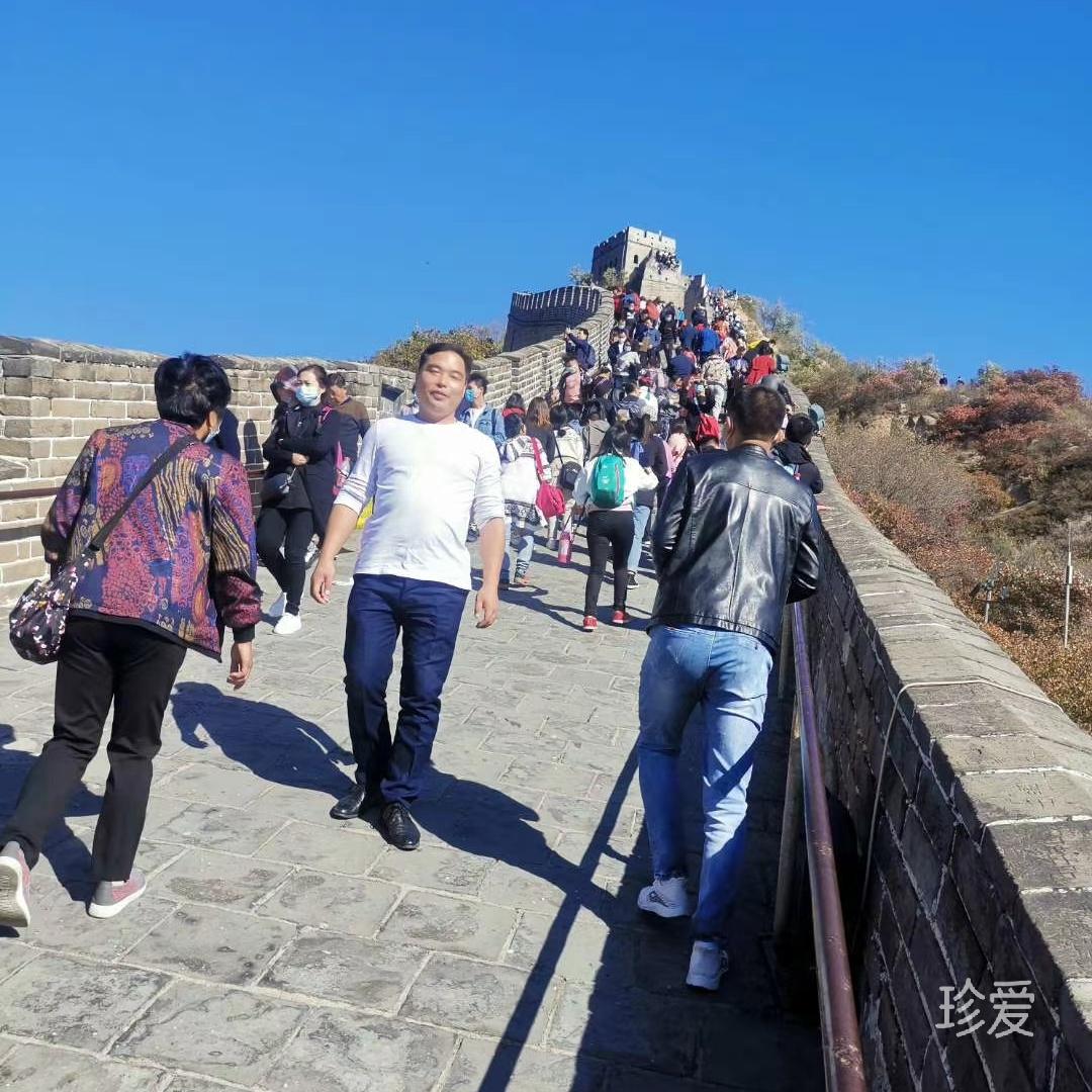 枫林天下
