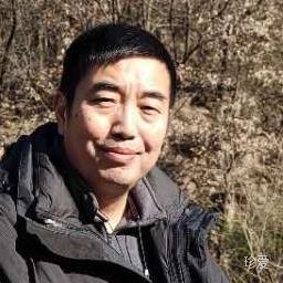 马儿回家