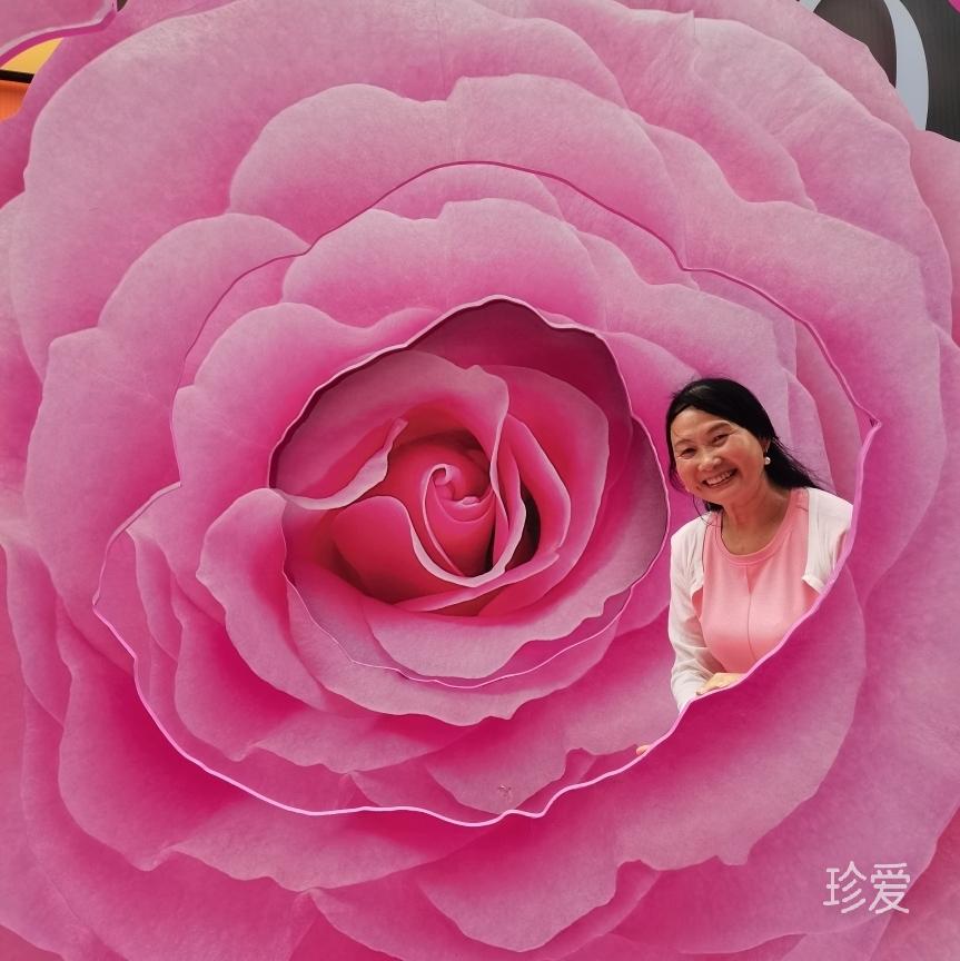 雾里看花
