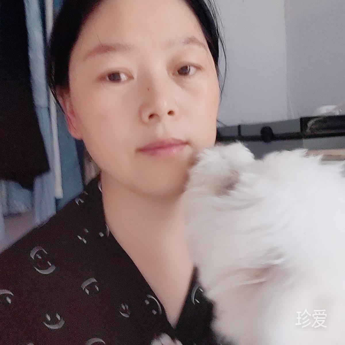 小琴