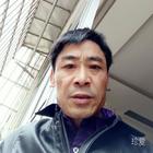 緣未了