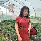 藏著一個(gè)你