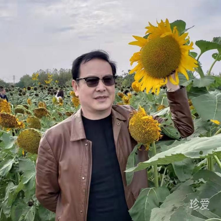 財運來了非爾斯