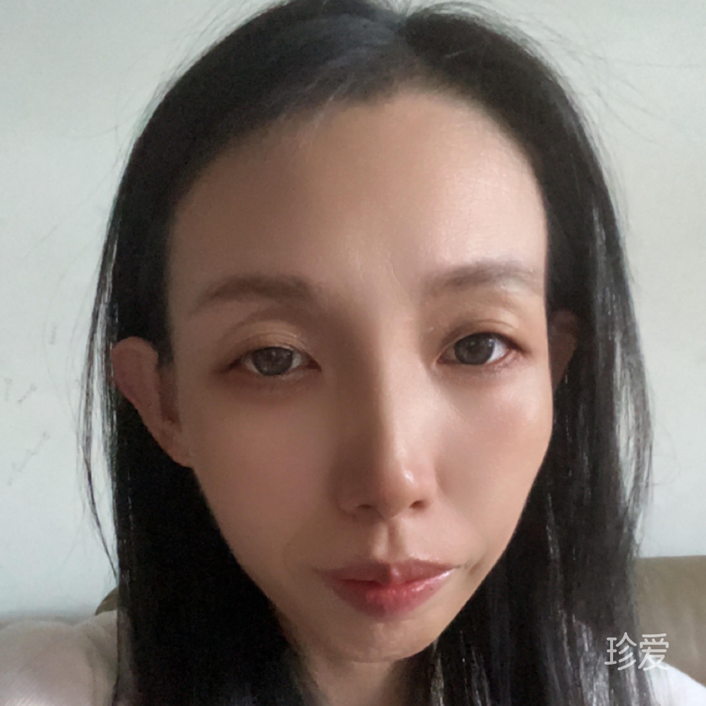 猫尾薄荷