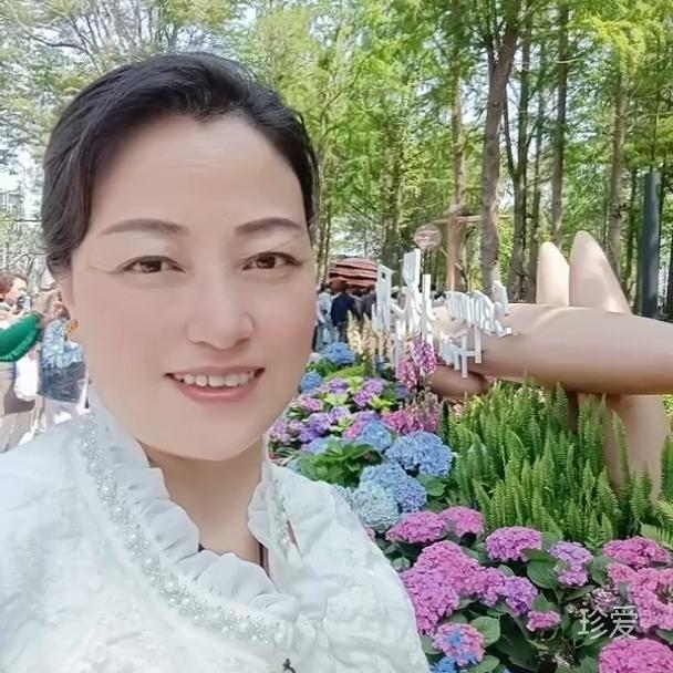 鸿运当头
