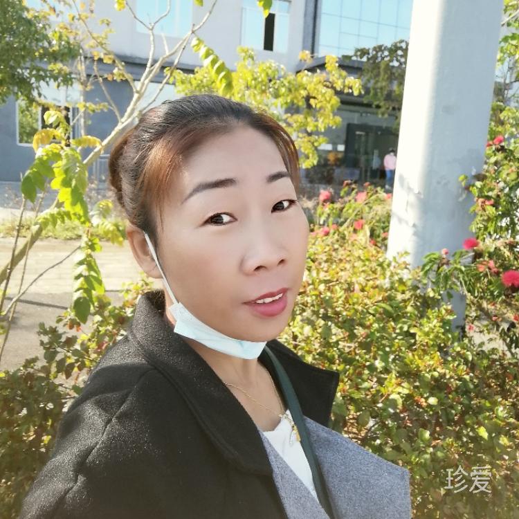 白鹭