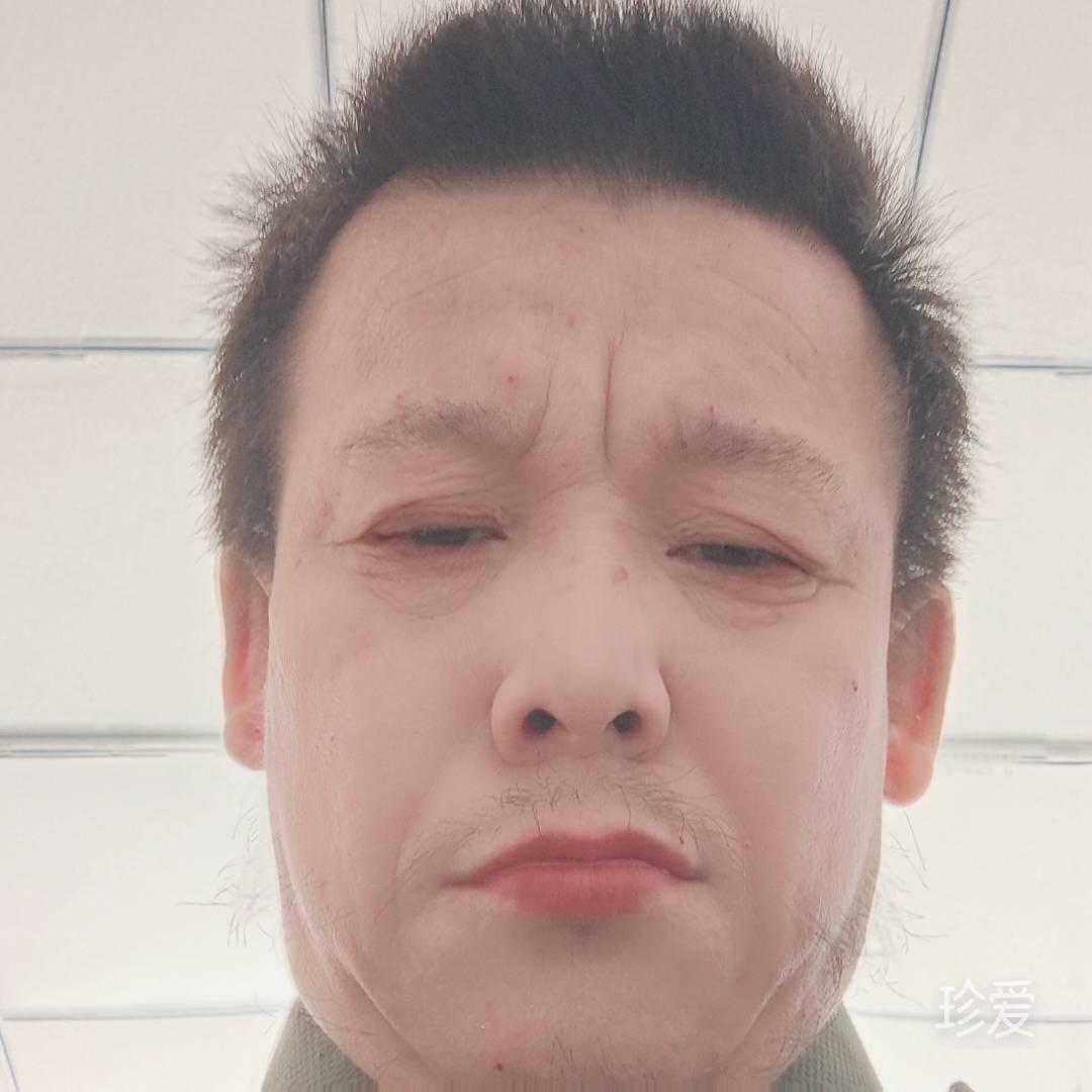 会飞的虎李海山