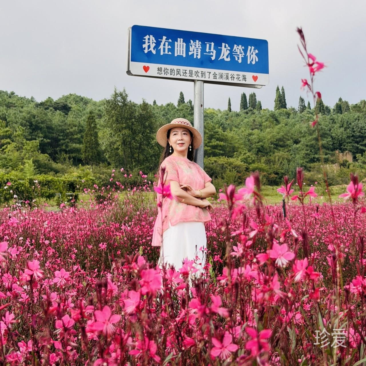 恬淡