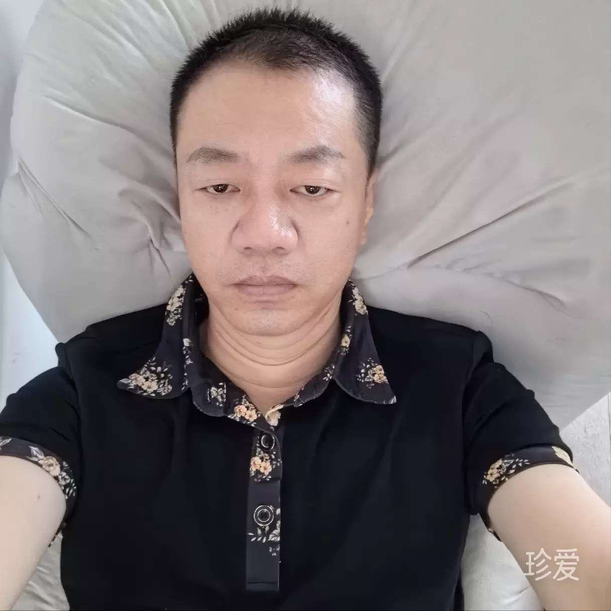 禾风渡半生