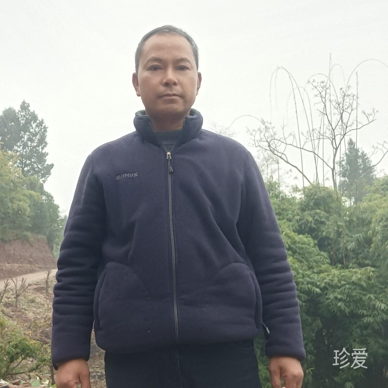 归城