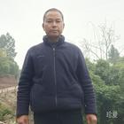 归城