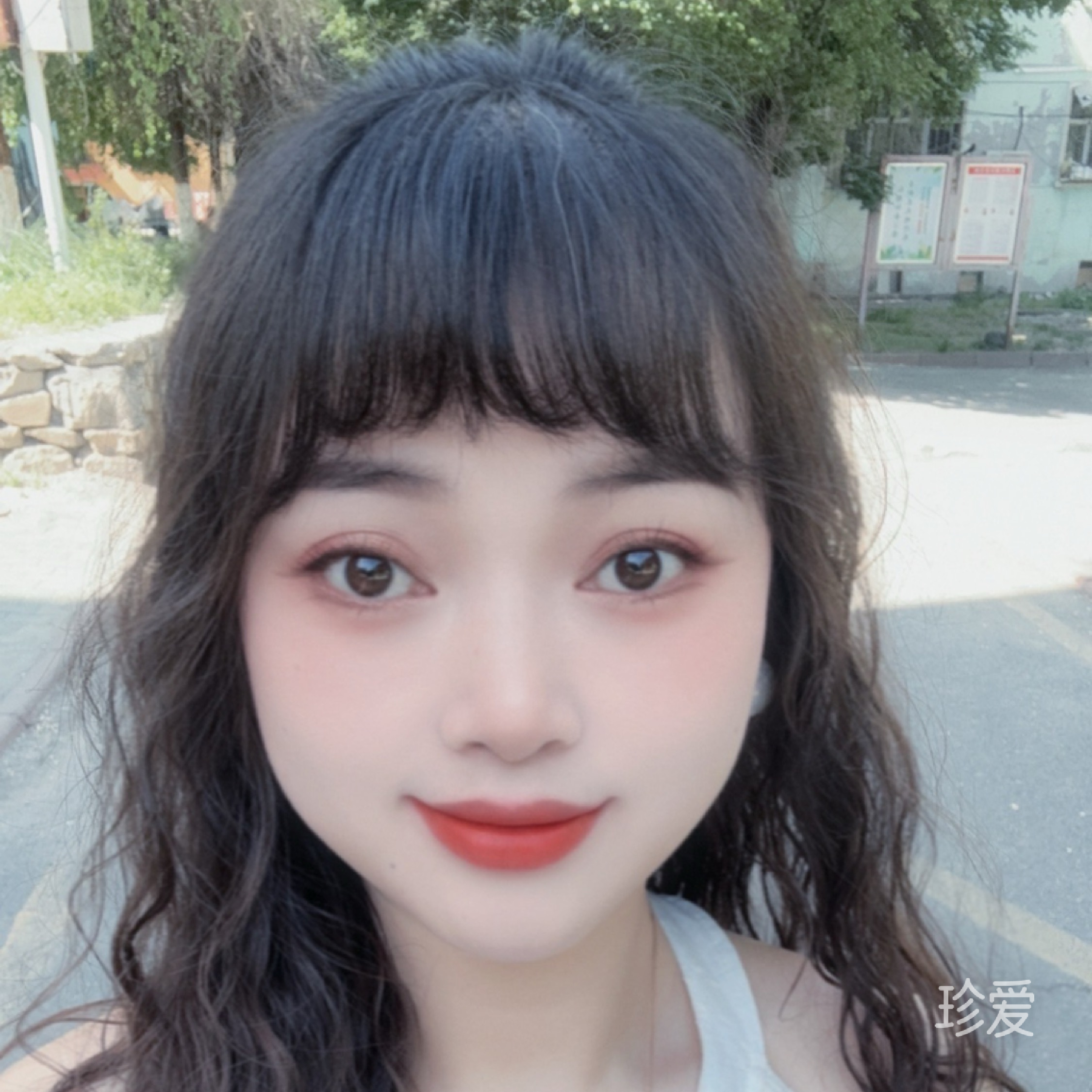 向日葵