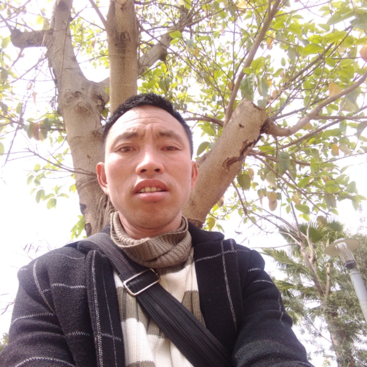 放棄一切從頭開始