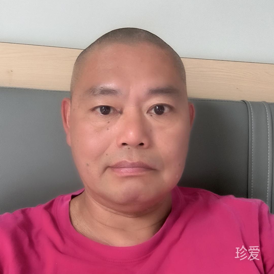 自由的猪猪侠