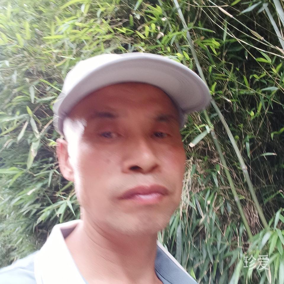 我的爱我在期待中