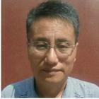 長(zhǎng)青樹(shù)