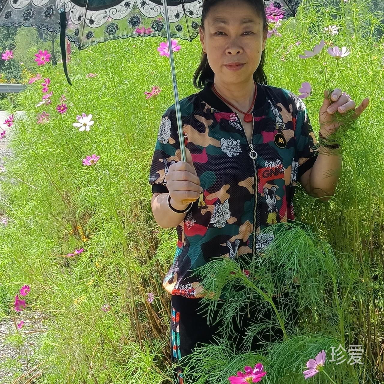 谁来伴君走天涯