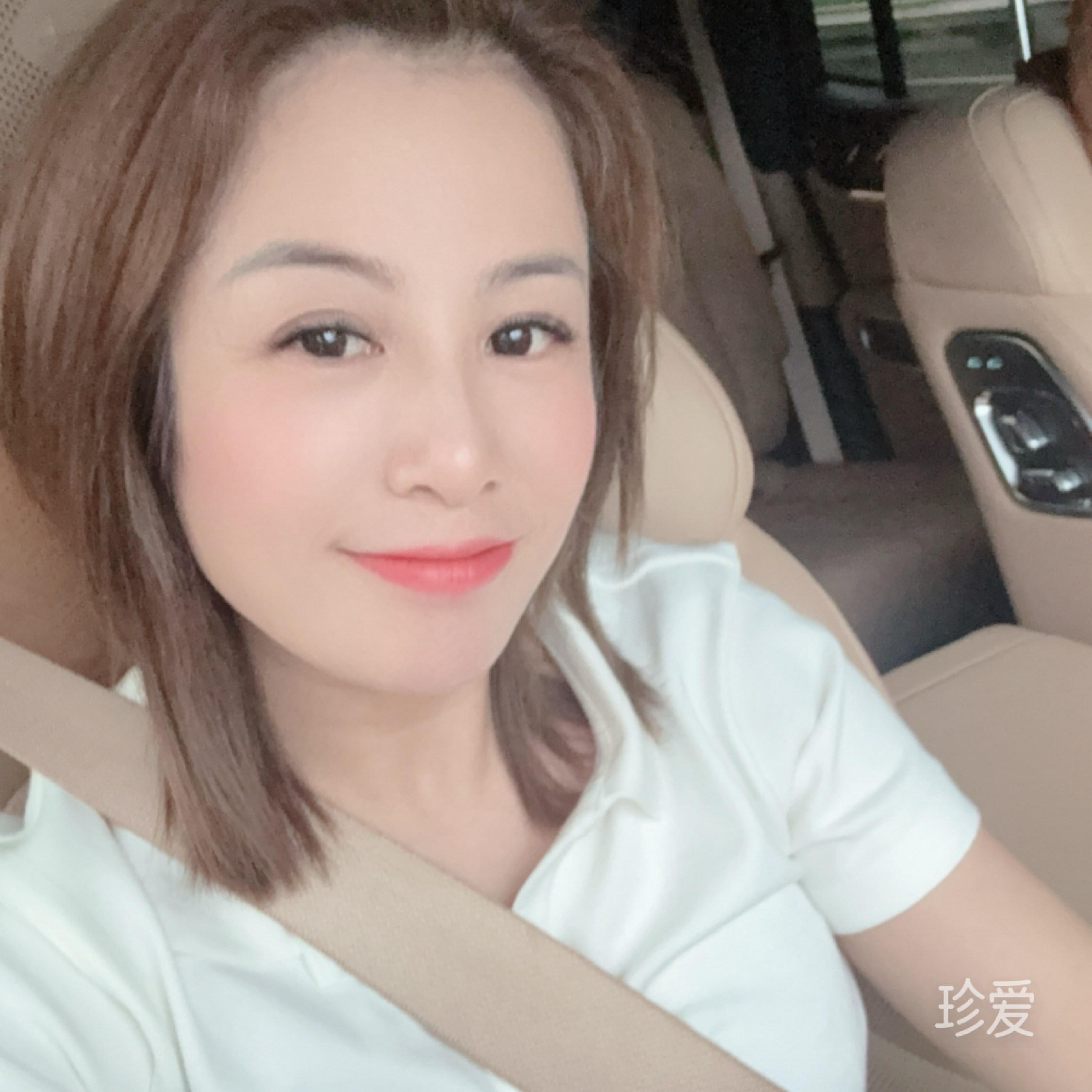海棠听风