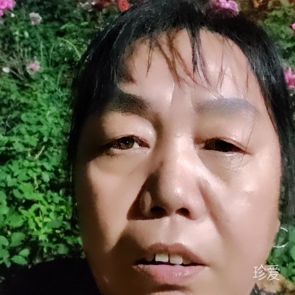 芳草萋萋