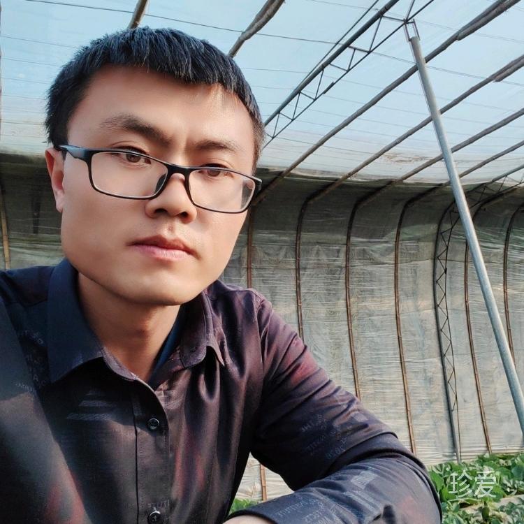 昨夜星辰昨夜梦