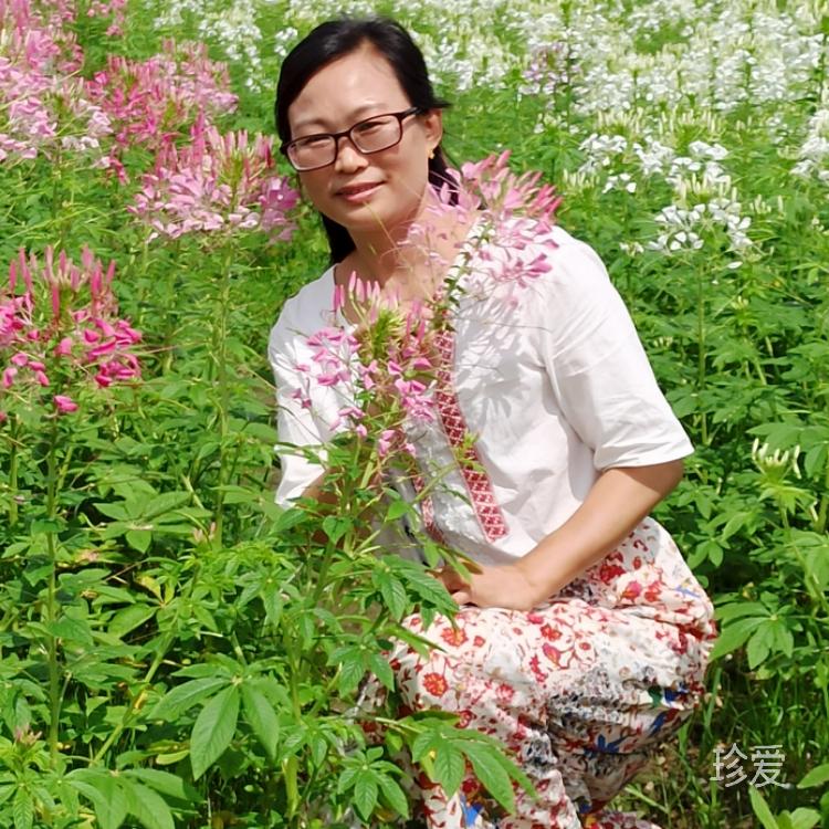 期待