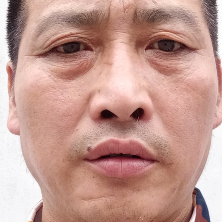 荒漠中的一片叶