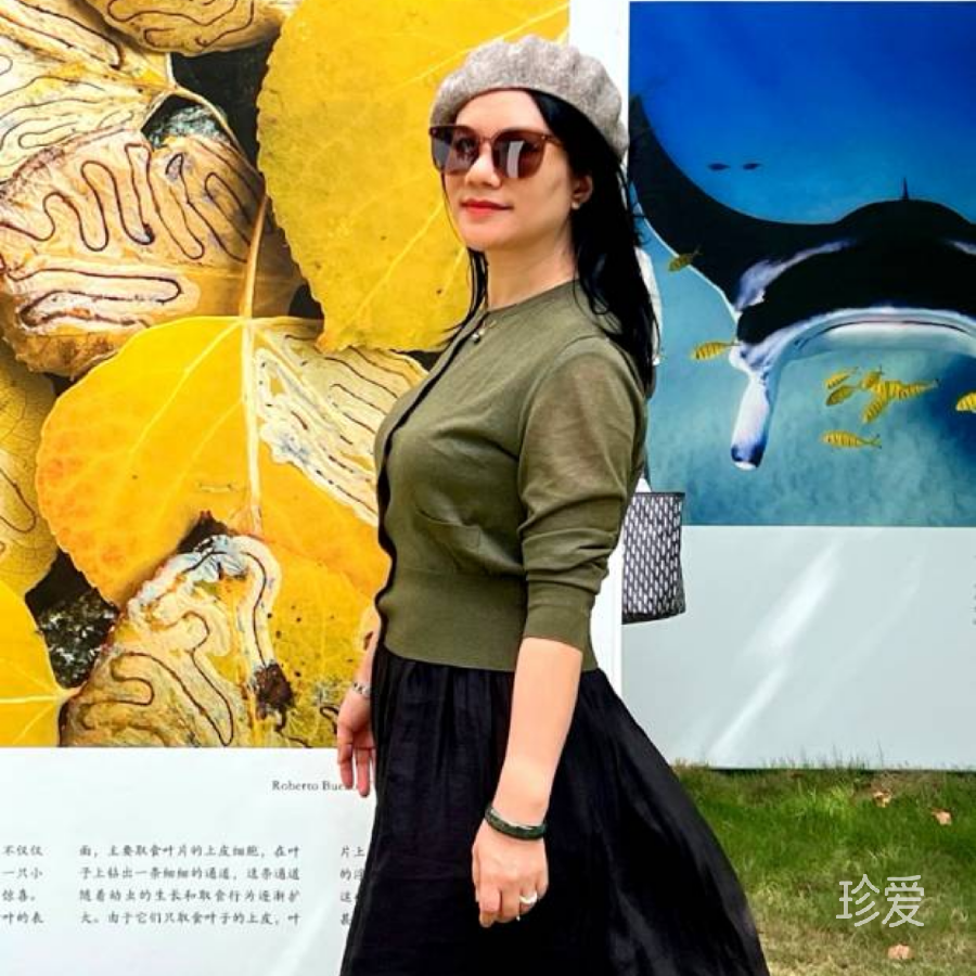 恬静月光