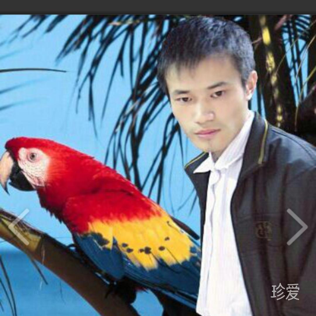 我的未来不是梦